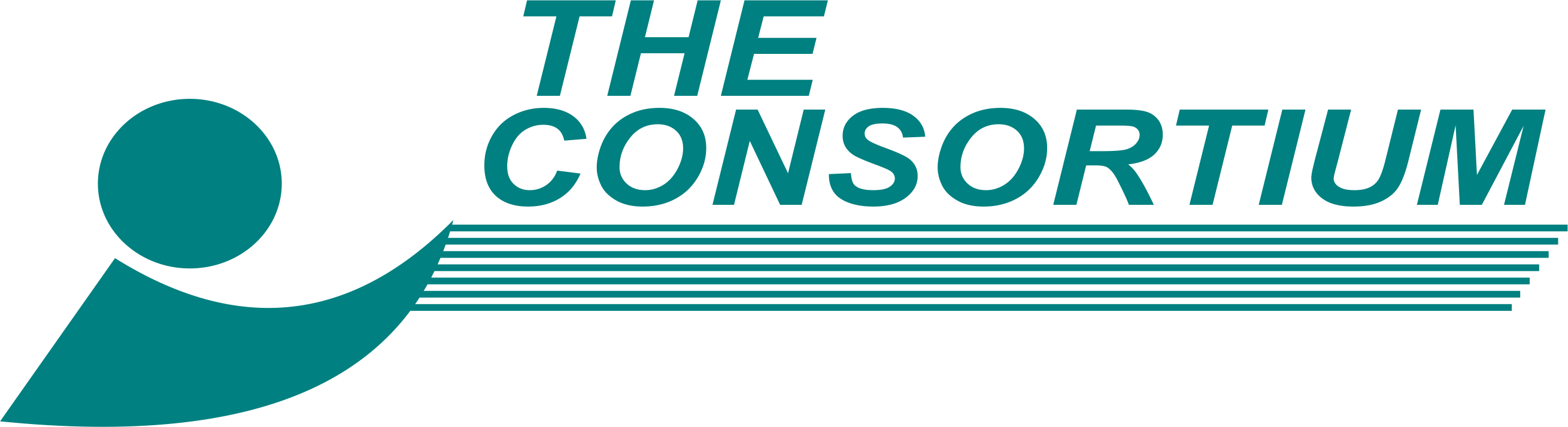 Consortia Tx Inc Consortia Tx Inc