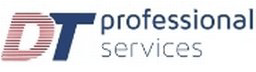 Dt Professional Services Llc Dt Professional Services Llc